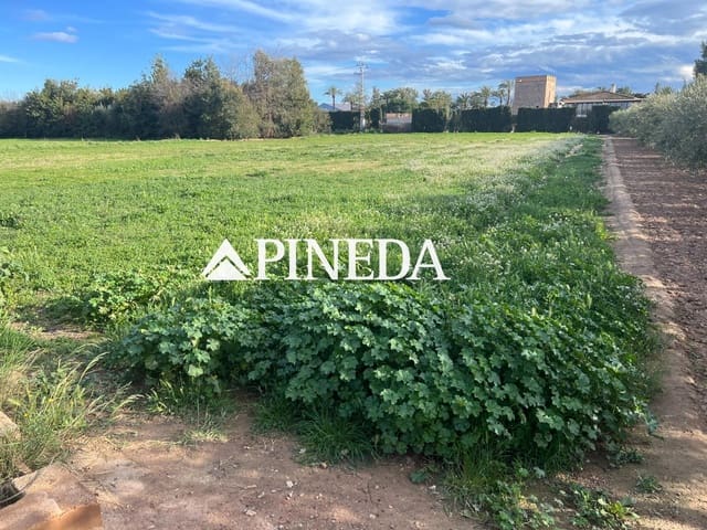 Terreno Não Urbanizado para venda em Puig - 121 000 € (Ref: 8869791)
