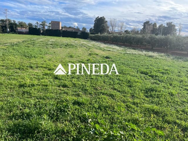 Terreno Não Urbanizado para venda em Puig - 121 000 € (Ref: 8869791)