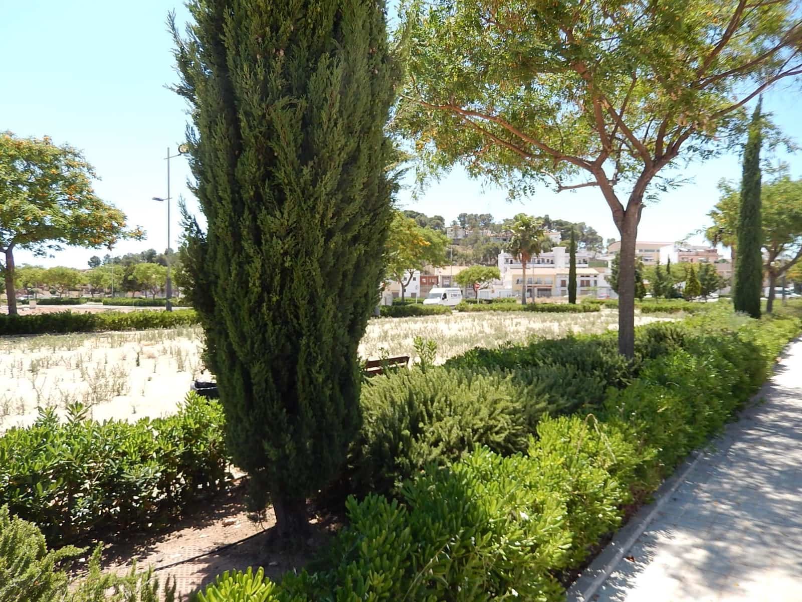 Terrain à Bâtir à vendre à Puig - 105 000 € (Ref: 8905585)