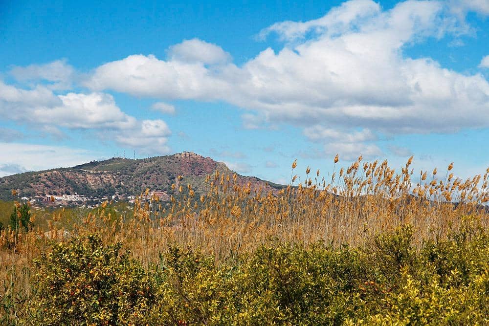 Grunde uden byggetilladelser til salg i Pucol - € 159.000 (Ref: 8946230)