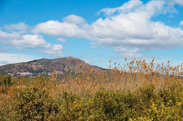 Undeveloped Land for sale in Puçol - € 159,000 (Ref: 8946230)