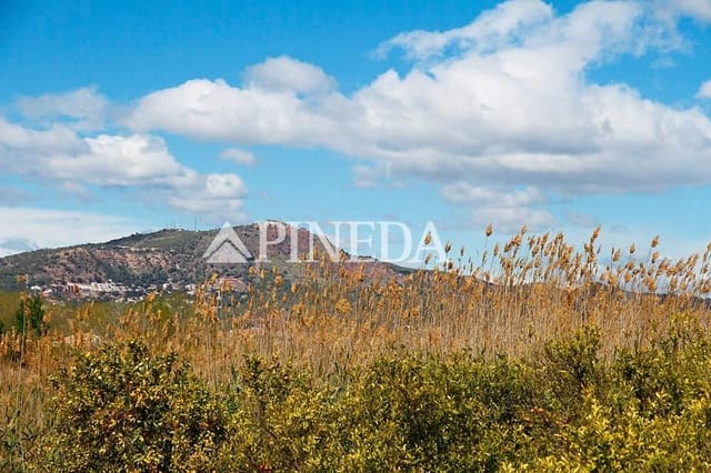 Local Commercial à vendre à Puçol - 80 000 € (Ref: 9797076)