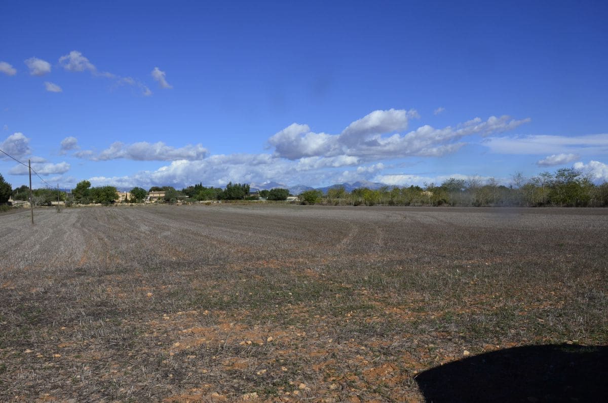 3 chambre Appartement à vendre à Palma de Mallorca - 450 000 € (Ref: 8370770)