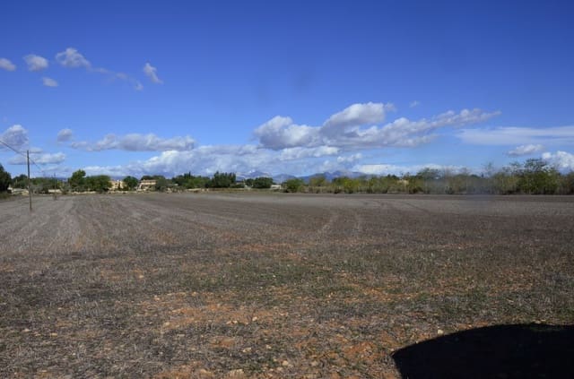 3 makuuhuone Asunto myytävänä paikassa Can Pastilla, Palma de Mallorca - 450 000 € (Ref: 8370770)