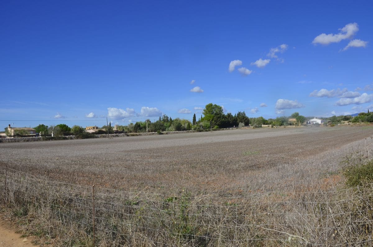 3 chambre Appartement à vendre à Palma de Mallorca - 450 000 € (Ref: 8370770)