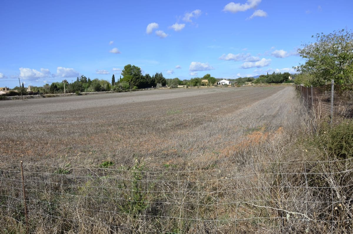 3 chambre Appartement à vendre à Palma de Mallorca - 450 000 € (Ref: 8370770)