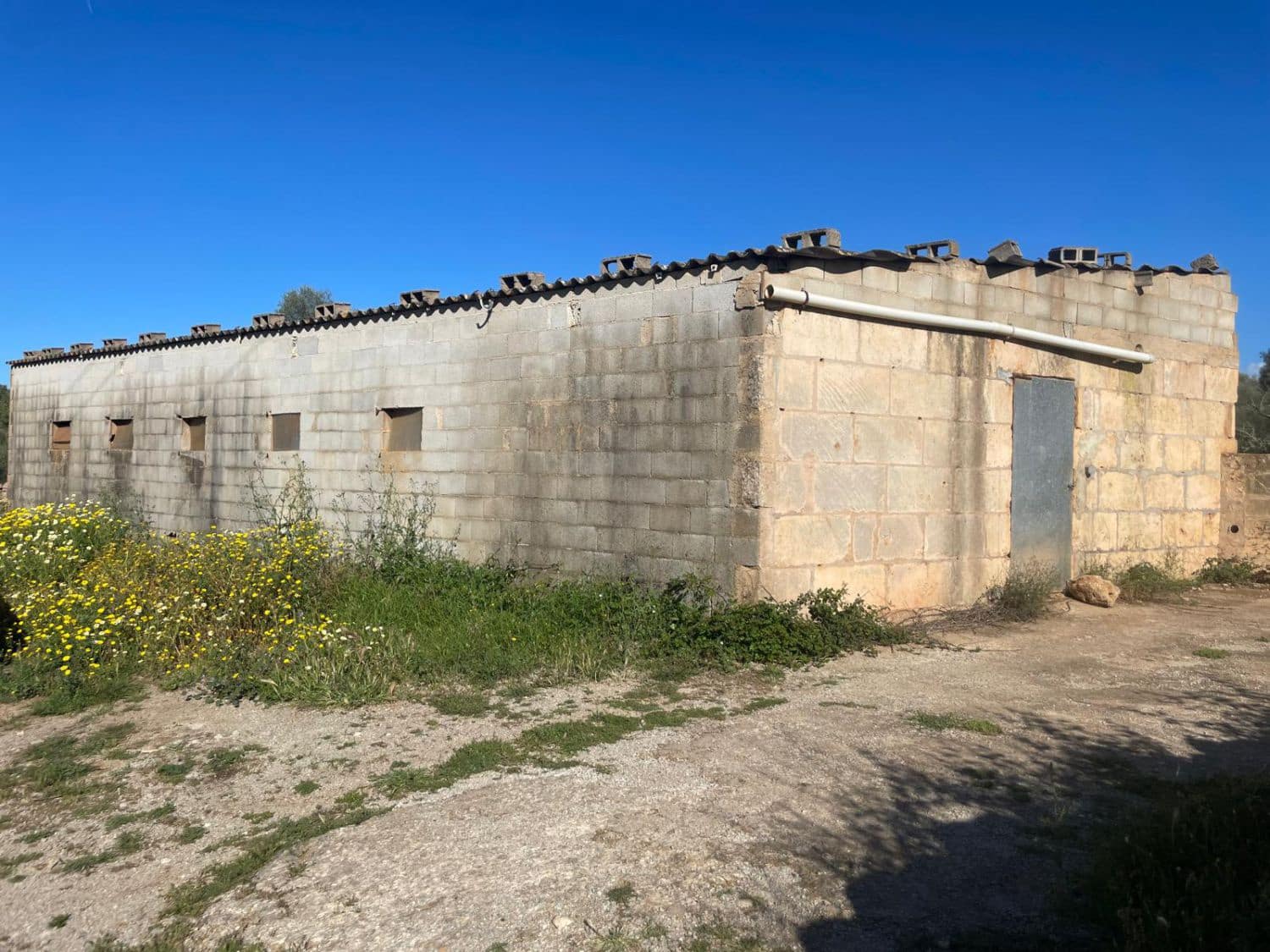 3 chambre Entreprise à vendre à Sineu - 165 000 € (Ref: 9040395)