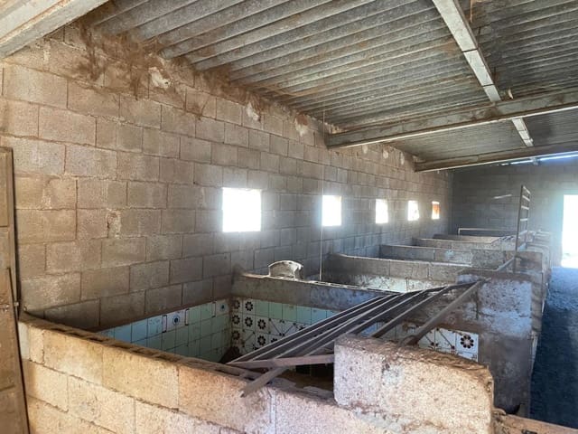 3 chambre Entreprise à vendre à Sineu - 165 000 € (Ref: 9040395)