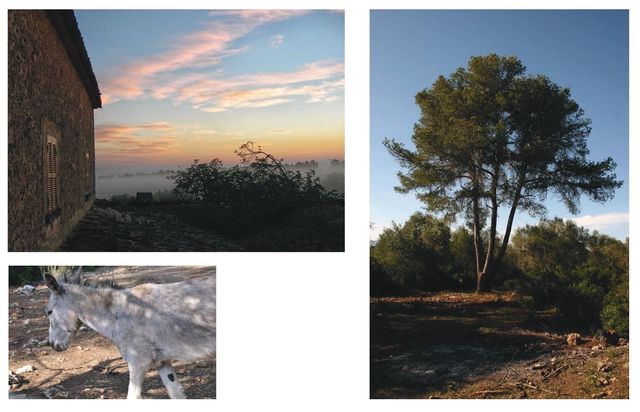 10 soveværelse Finca/Landehus til salg i Lloret de Vista Alegre - € 2.505.592 (Ref: 9040397)