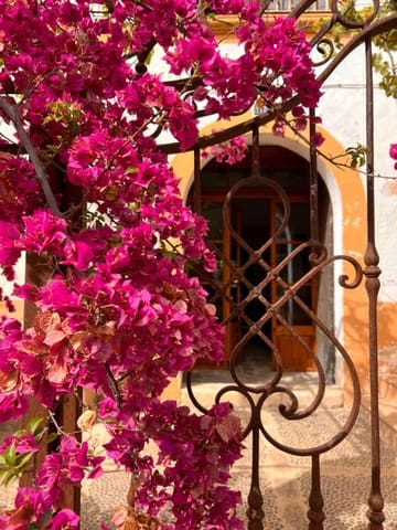 7 slaapkamer Huis te koop in Establiments, Palma de Mallorca - € 1.330.000 (Ref: 9040399)