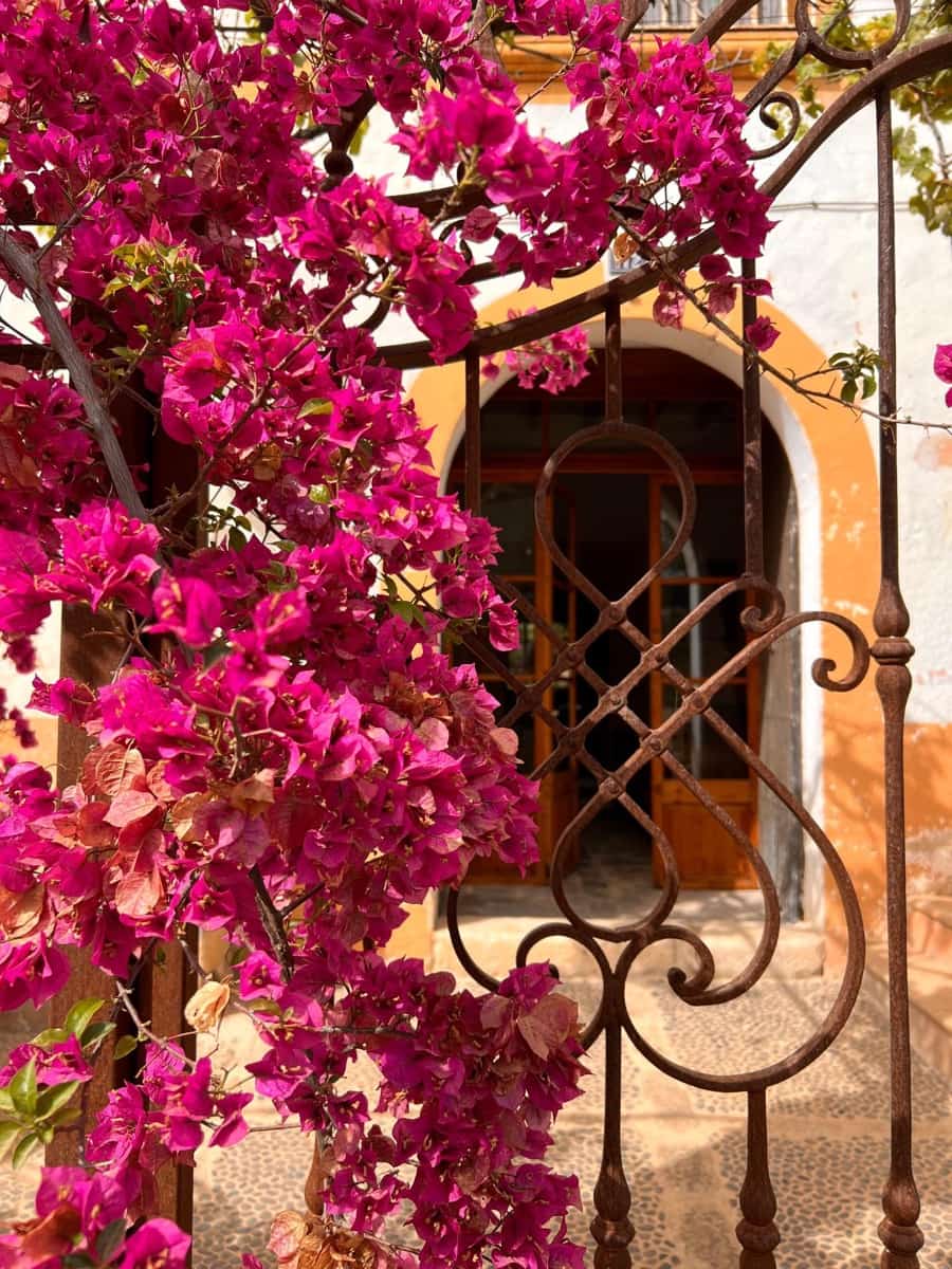 7 soveværelse Byhus til salg i Palma de Mallorca - € 1.330.000 (Ref: 9040399)