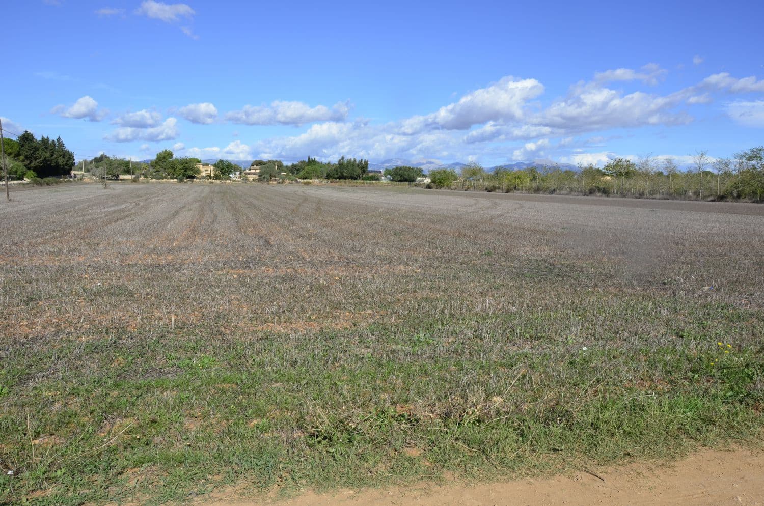 Mark till salu i Algaida - 189 000 € (Ref: 9100992)