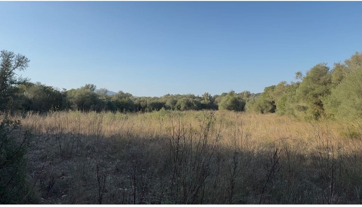 Mark till salu i Algaida - 189 000 € (Ref: 9100992)