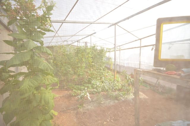 5 quarto Quinta/Casa Rural para venda em Santa Eugènia - 890 000 € (Ref: 9161481)