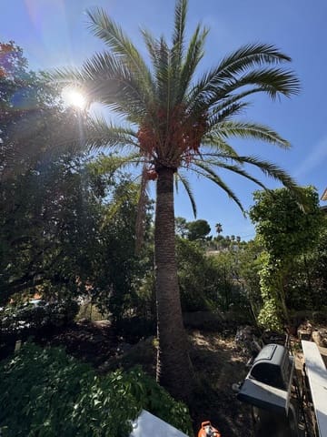 4 sypialnia Willa na sprzedaż w Son Veri Nou, Llucmajor z garażem - 1 700 000 € (Ref: 9240505)