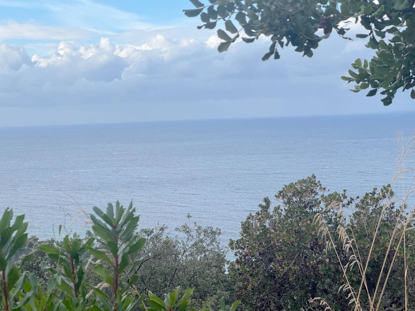 Działka budowlana na sprzedaż w Banyalbufar - 320 000 € (Ref: 9252553)