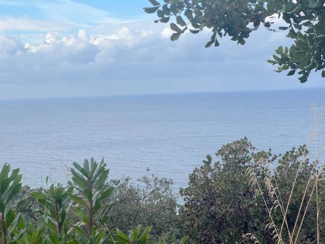 Building Plot for sale in Banyalbufar - € 320,000 (Ref: 9252553)