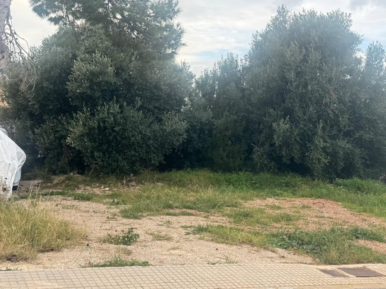 Działka budowlana na sprzedaż w Banyalbufar - 320 000 € (Ref: 9252553)