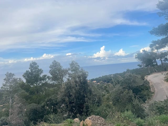 Building Plot for sale in Banyalbufar - € 320,000 (Ref: 9252553)