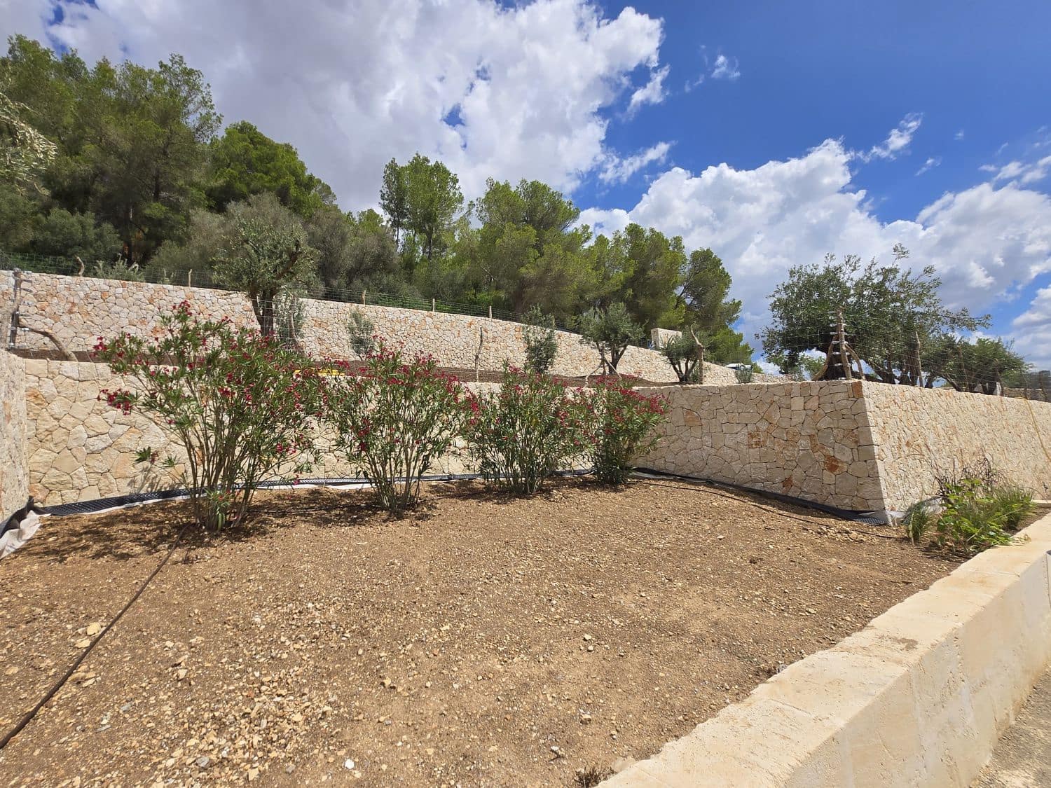 10 chambre Finca/Maison de Campagne à vendre à Montuiri - 5 900 000 € (Ref: 9264743)