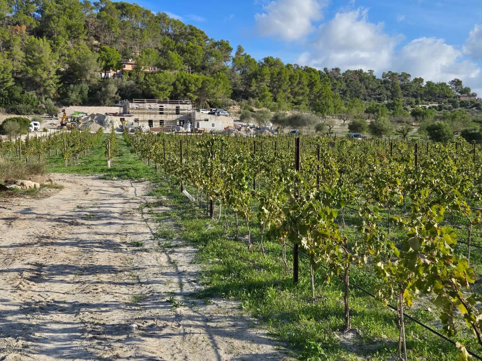 10 chambre Finca/Maison de Campagne à vendre à Montuiri - 5 900 000 € (Ref: 9264743)