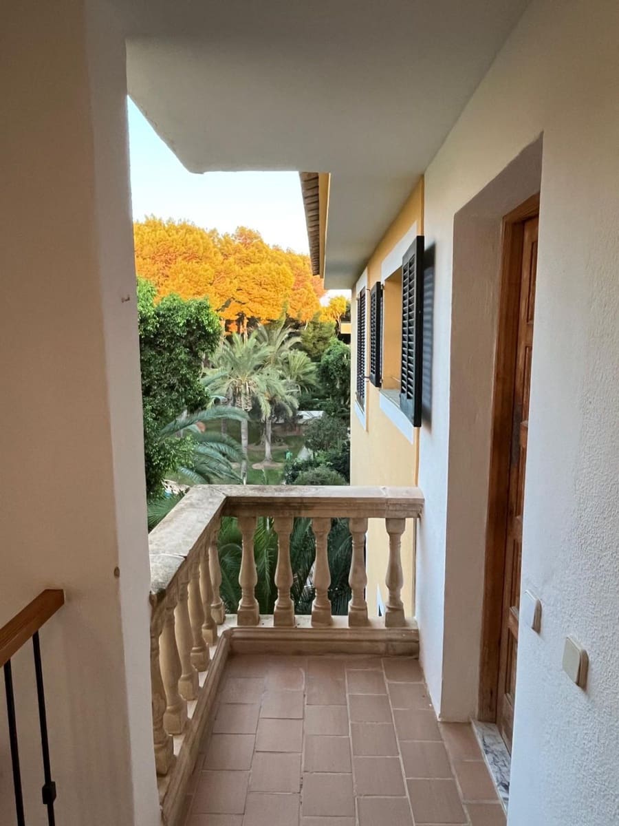 2 sypialnia Penthouse do wynajęcia w Santa Ponsa z garażem - 2 400 € (Ref: 9292238)