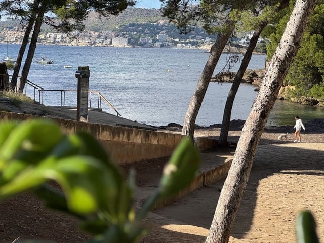 3 makuuhuone Huoneisto myytävänä paikassa Santa Ponsa, Calvià mukana 
autotalli - 795 000 € (Ref: 9359841)