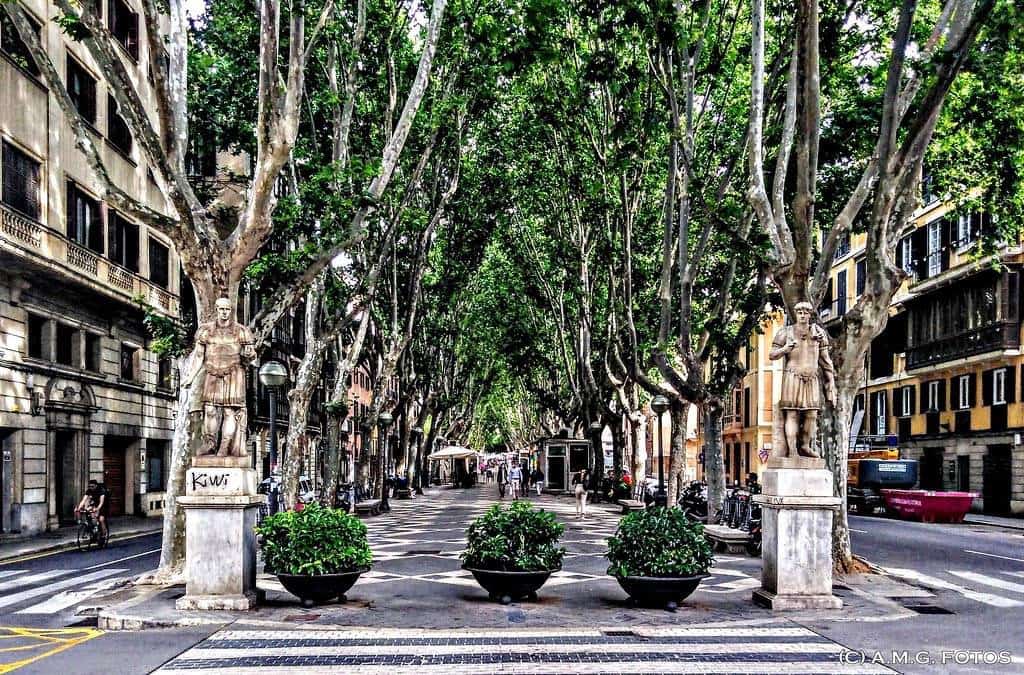 6 Zimmer Haus zu verkaufen in Palma de Mallorca - 617.143 € (Ref: 9709211)