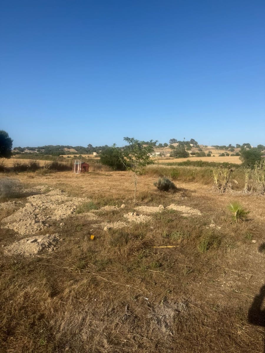 1 bedroom Finca/Country House for sale in Sineu - € 195,000 (Ref: 9899028)