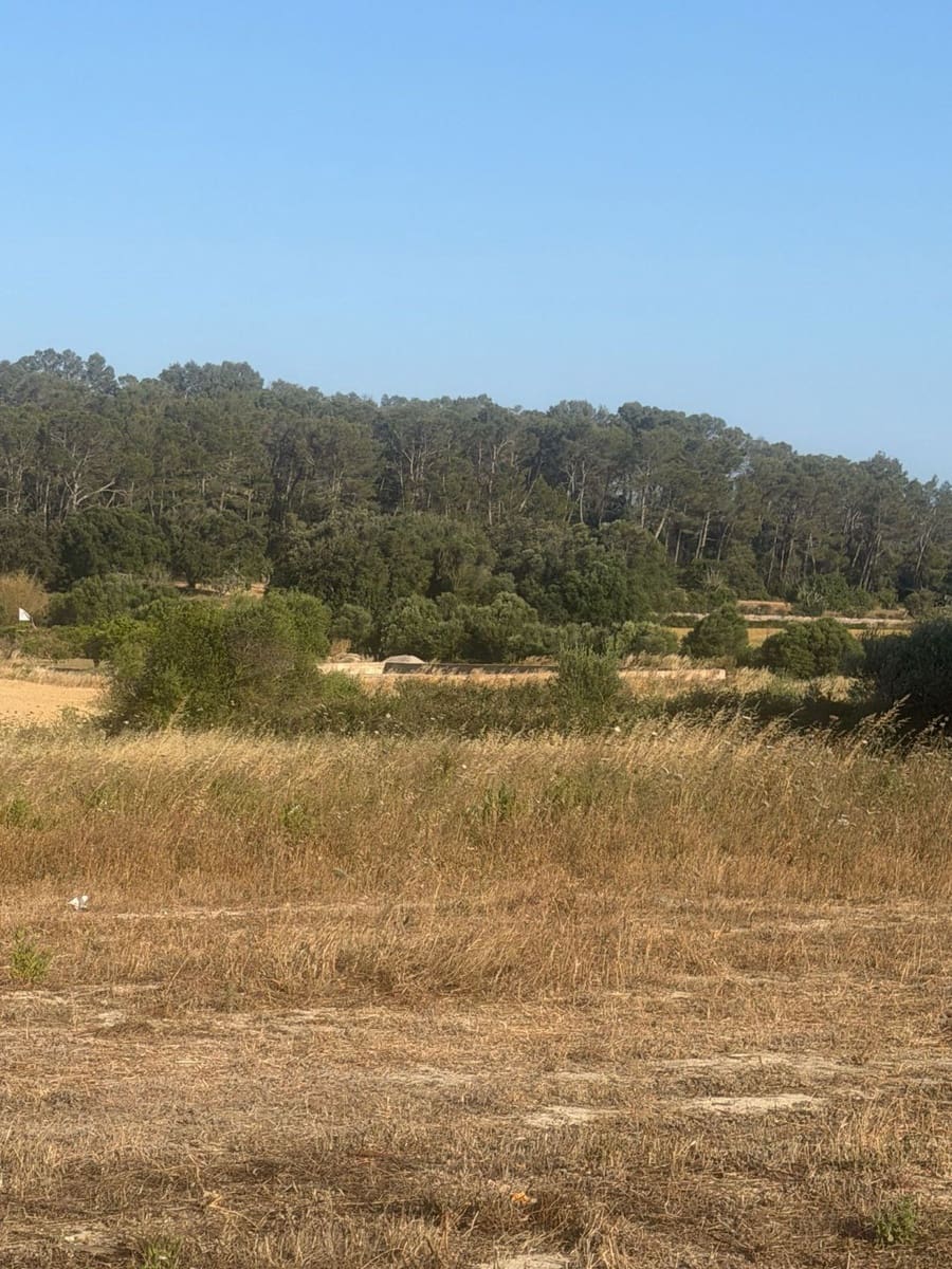 1 bedroom Finca/Country House for sale in Sineu - € 195,000 (Ref: 9899028)