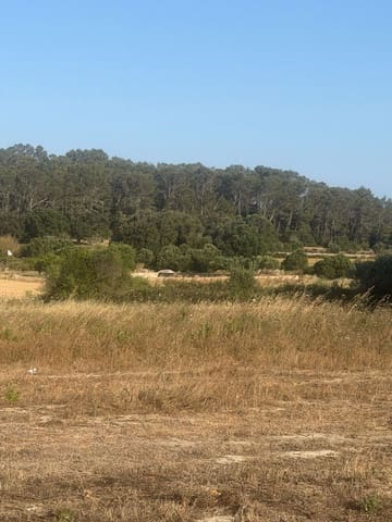 1 bedroom Finca/Country House for sale in Sineu - € 195,000 (Ref: 9899028)