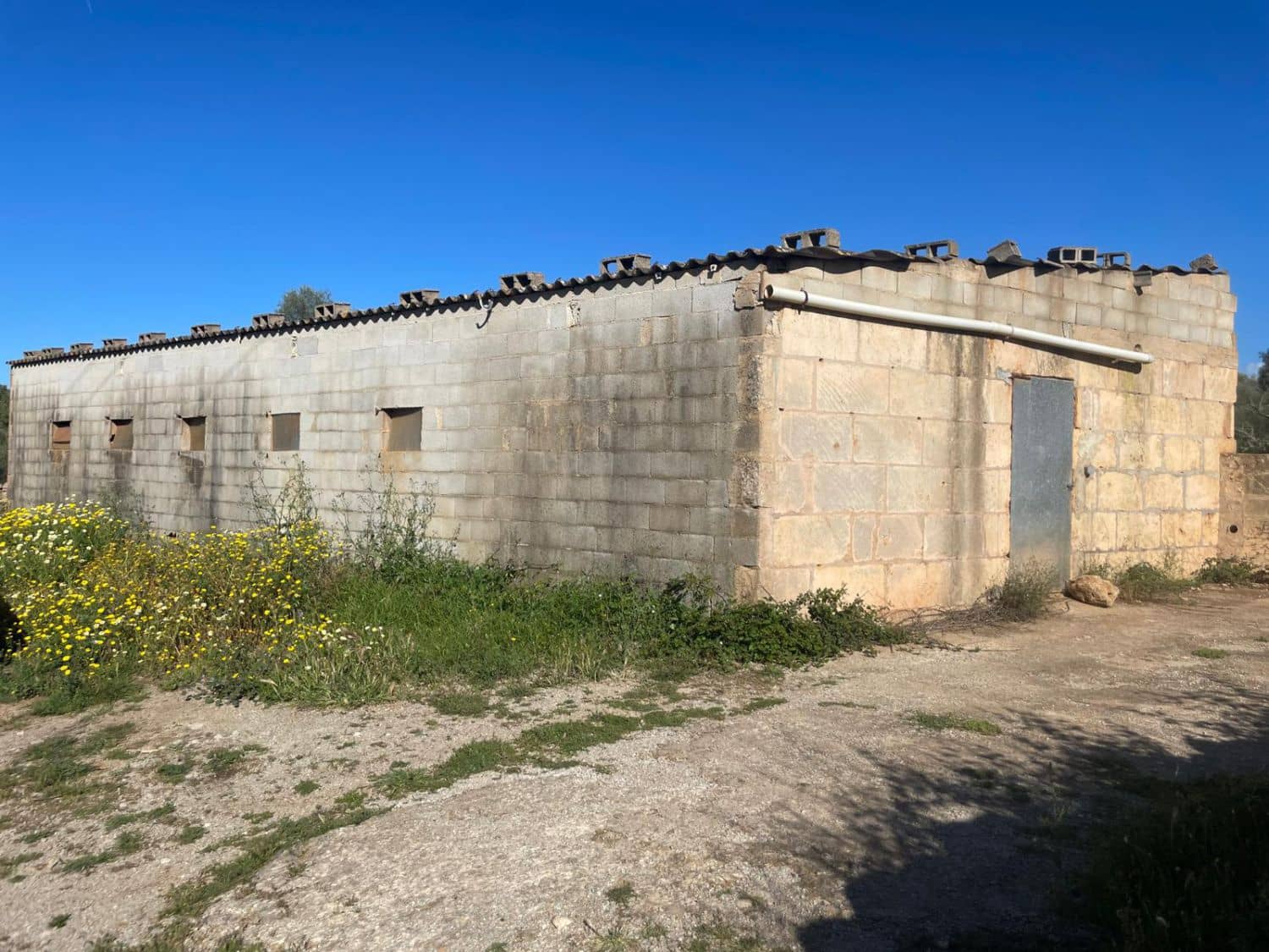 Finca/Landehus til salg i Sineu - € 165.000 (Ref: 9906840)