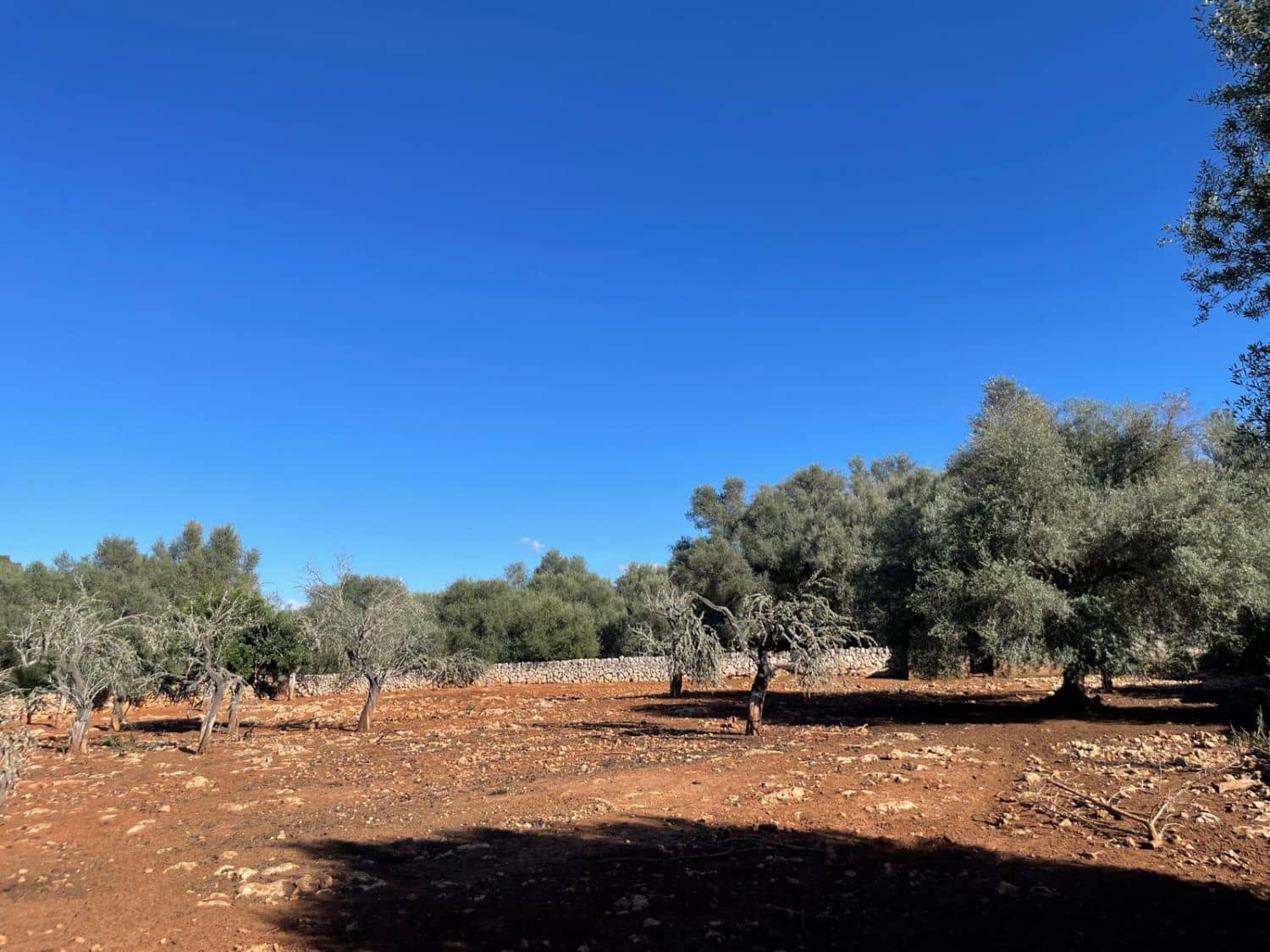 Finca/Landehus til salg i Sineu - € 165.000 (Ref: 9906840)