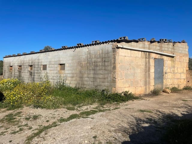 Finca/Landehus til salg i Sineu - € 165.000 (Ref: 9906840)