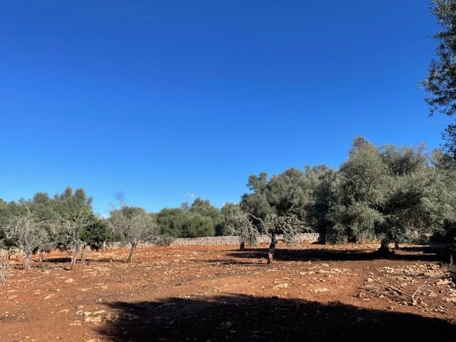 Finca/Landehus til salg i Sineu - € 165.000 (Ref: 9906840)