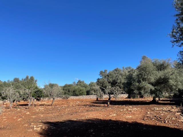 Finca/Landehus til salg i Sineu - € 165.000 (Ref: 9906840)
