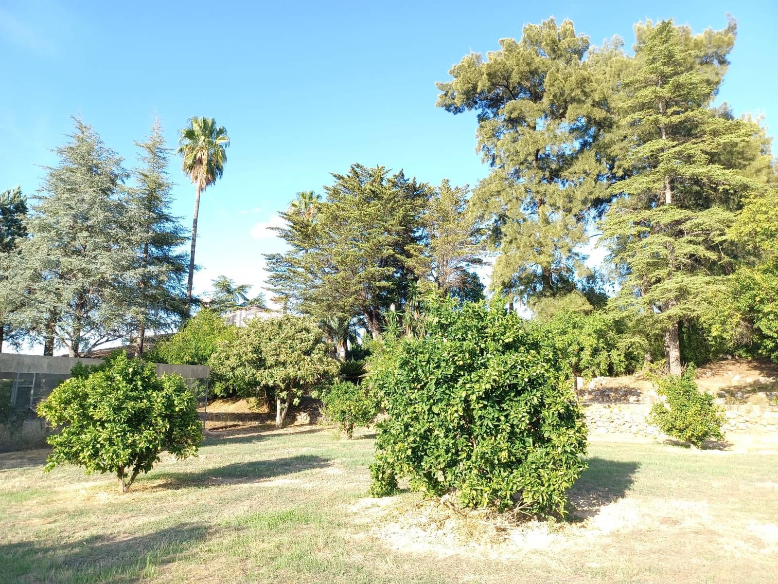 6 soveværelse Villa til salg i Albaida med swimmingpool garage - € 540.000 (Ref: 9274738)