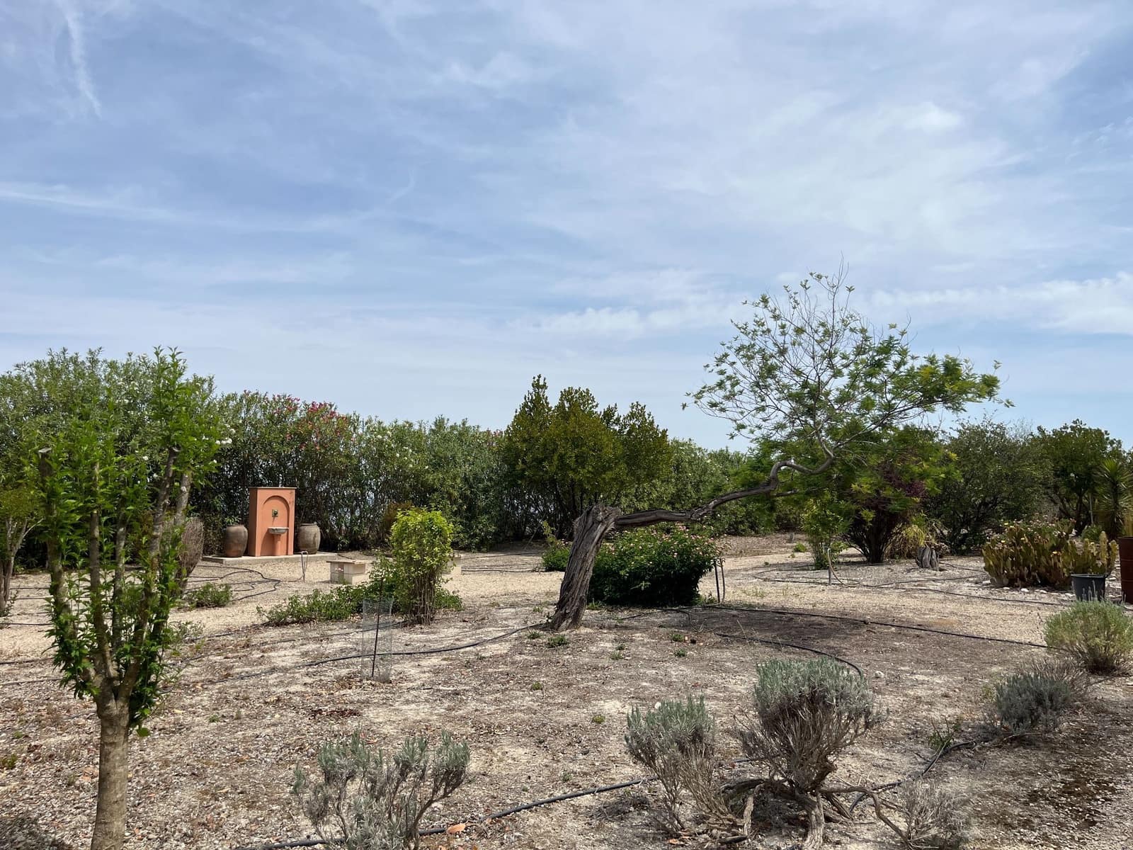 5 soveværelse Villa til salg i Albaida - € 480.000 (Ref: 9275848)