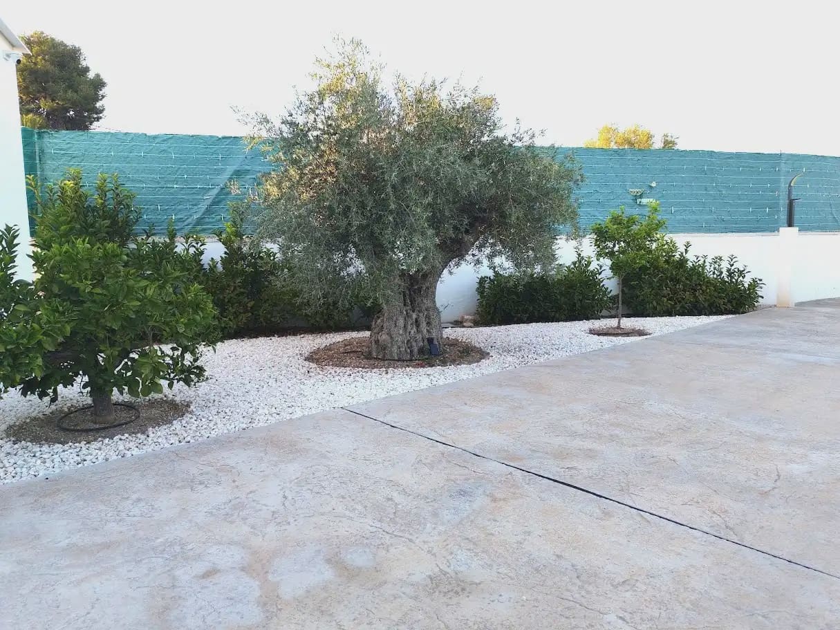 4 chambre Villa/Maison à vendre à Elche / Elx avec piscine garage - 750 000 € (Ref: 10130318)