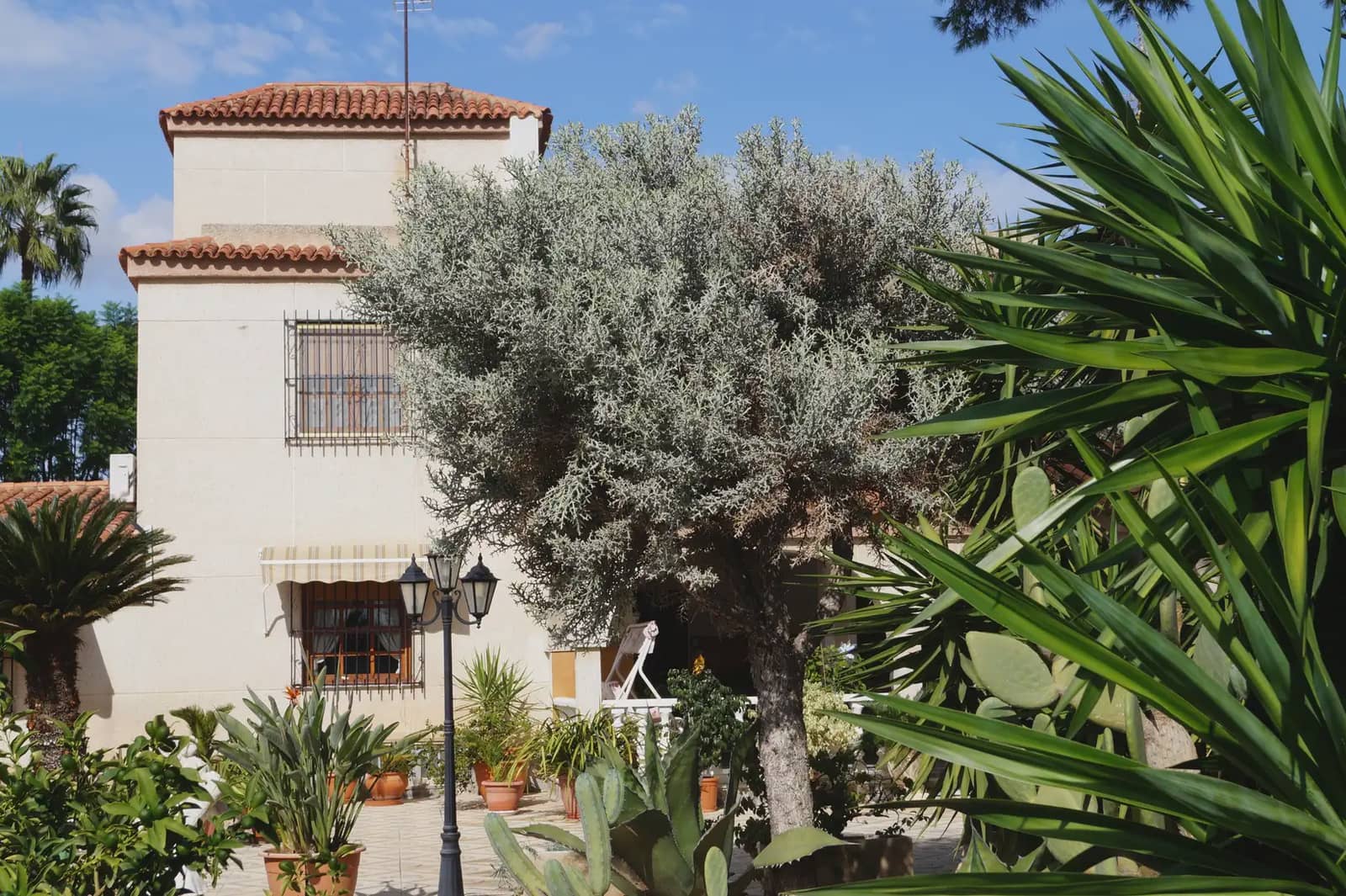5 sypialnia Finka/Dom wiejski na sprzedaż w Elche / Elx z basenem garażem - 620 000 € (Ref: 10130319)
