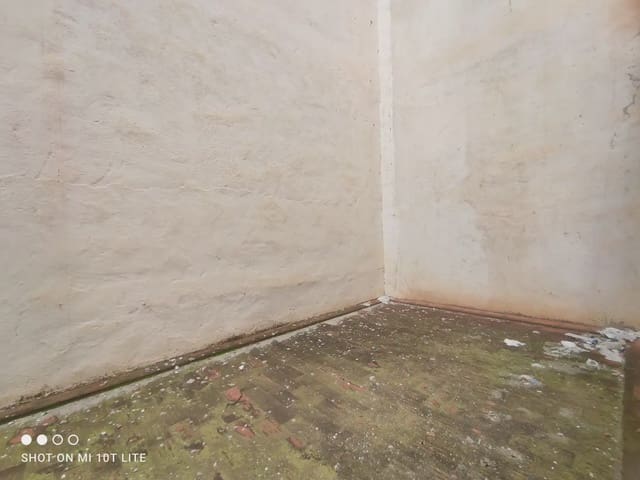 Local Comercial de 6 habitaciones en El Pla de Sant Josep - L'Asil, Elche / Elx en venta con garaje - 1.275.000 € (Ref: 10130331)