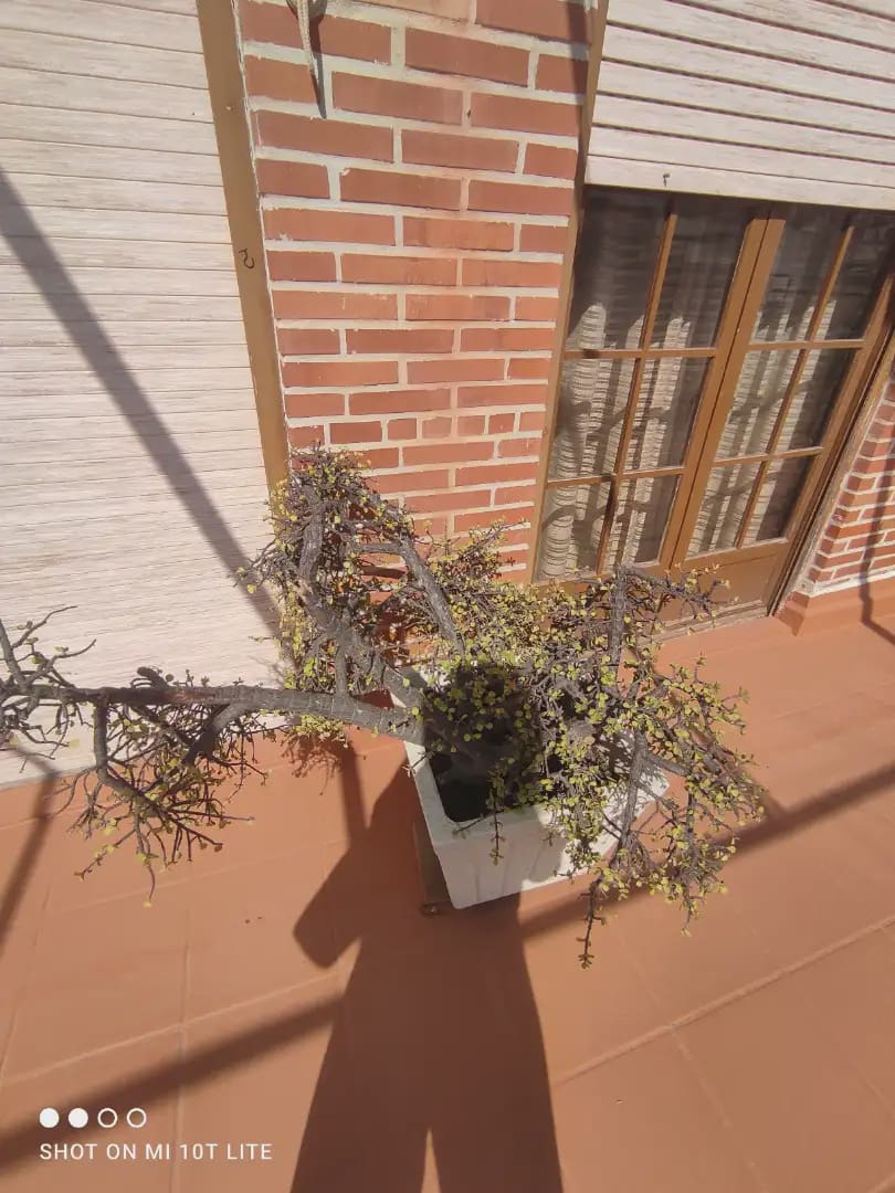 5 quarto Penthouse para venda em Santa Pola - 999 500 € (Ref: 10130343)