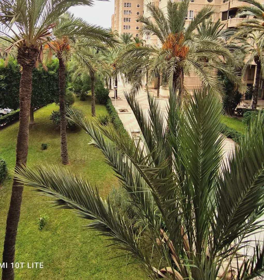 4 quarto Apartamento para venda em Elche / Elx - 395 000 € (Ref: 10130345)