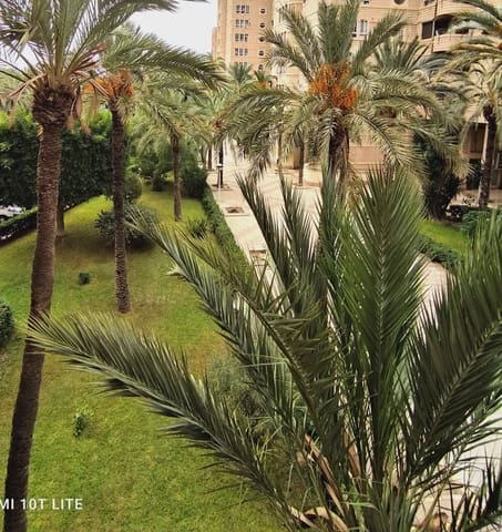4 quarto Apartamento para venda em Centro, Elche / Elx - 395 000 € (Ref: 10130345)