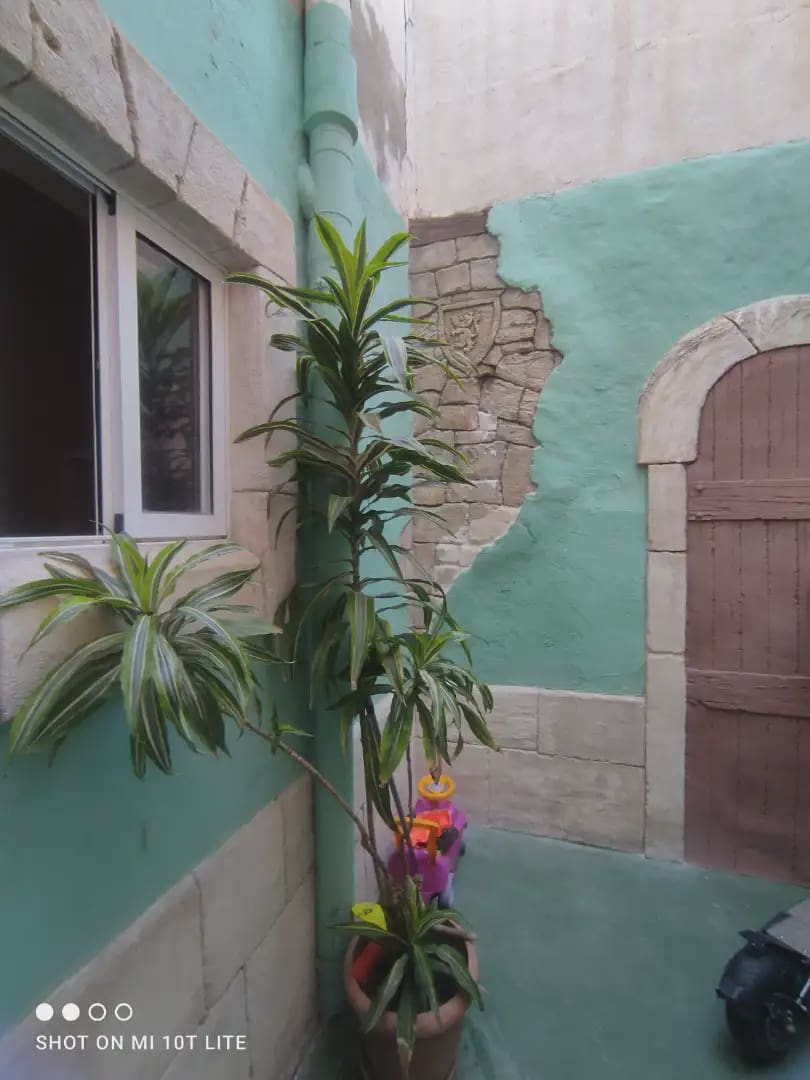 Piso de 2 habitaciones en Elche / Elx en venta - 155.000 € (Ref: 10130349)
