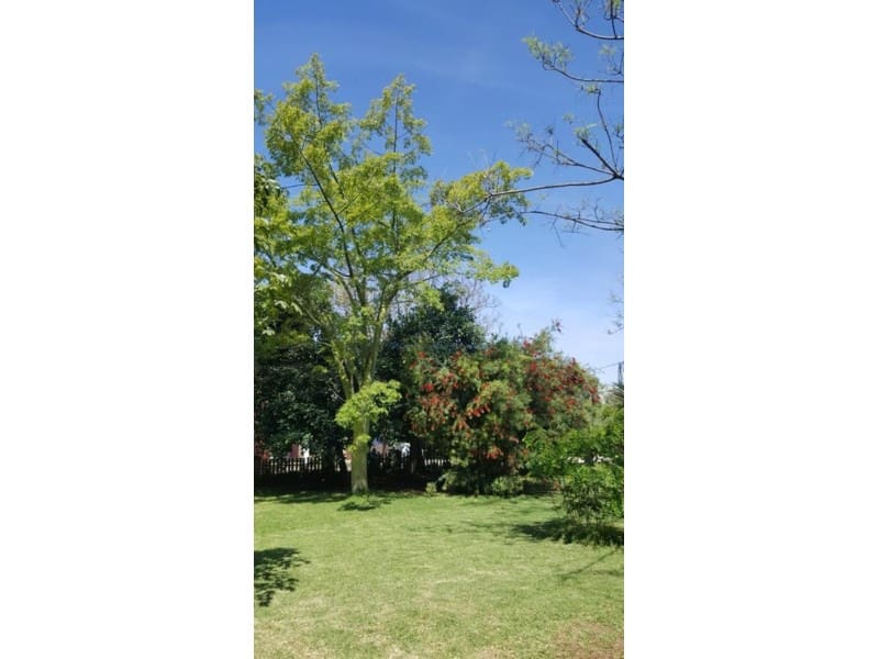 4 camera da letto Villa in vendita in Ondara con piscina garage - 779.000 € (Rif: 10177069)