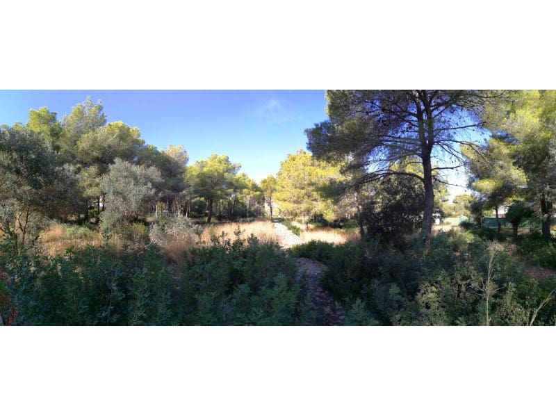 Bouwgrond te koop in Denia - € 915.000 (Ref: 8091413)