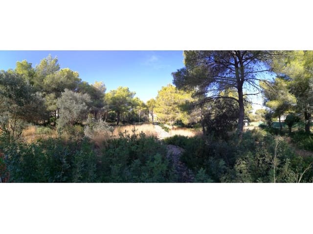 Building Plot for sale in Las Rotas / Les Rotes, Dénia - € 915,000 (Ref: 8091413)