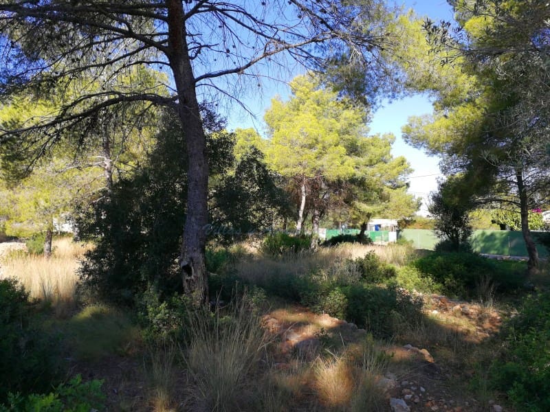 Bouwgrond te koop in Denia - € 915.000 (Ref: 8091413)