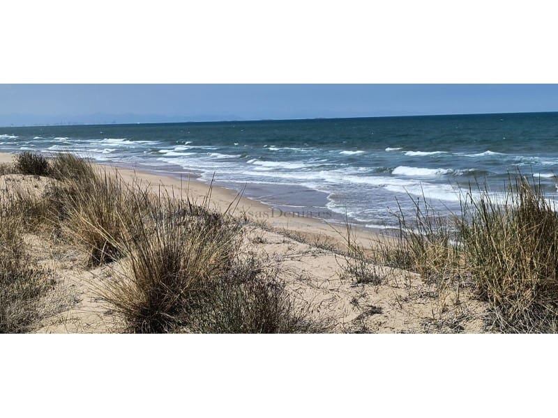 Finca/Landgut zu verkaufen in Cullera - 4.500.000 € (Ref: 9335359)